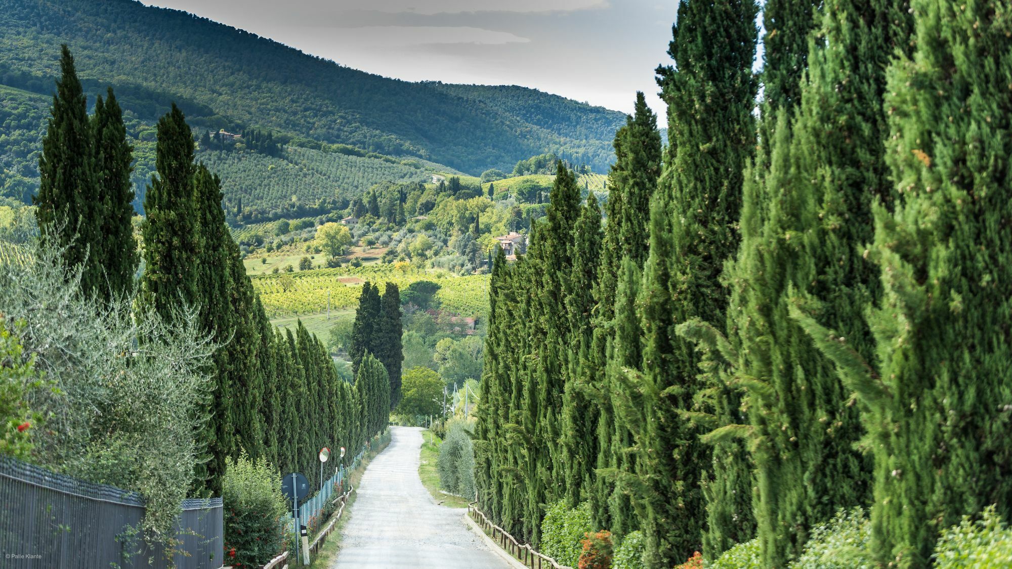 Agriturismo I Pini San Gimignano Exterior foto